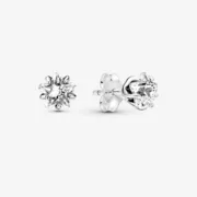 Brincos femininos Pandora 290023C01 Acessórios de Moda - nacloset 2