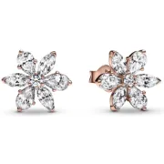 Brincos femininos Pandora 282407C01 Prata esterlina 925 Acessórios de Moda - nacloset