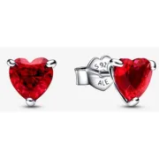 Brincos femininos Pandora 292549C01 Aço inoxidável Prata esterlina 925 Acessórios de Moda - nacloset 2