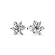 Brincos femininos Pandora 292633C01 Acessórios de Moda - nacloset