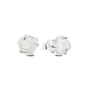 Brincos femininos Pandora 293209C01 Acessórios de Moda - nacloset