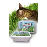 Comida Certech 10319 Animais de Estimação - nacloset
