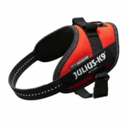 Arnês para Cães Julius K9 IDC Vermelho Animais de Estimação - nacloset 2