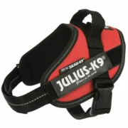 Arnês para Cães Julius K9 IDC Vermelho Animais de Estimação - nacloset