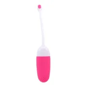 Vibrador Ovo Magic Motion Sexshop - nacloset