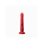 Vibrador Lovense Sexshop - nacloset