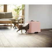 Caixa de Areia para Gatos Rotho My Pet Cor de Rosa Animais de Estimação - nacloset