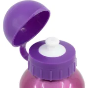 Garrafa de água Disney Princess CZ11260 530 ml Cor de Rosa Alumínio Campismo e Montanha - nacloset 2