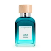 Perfume Homem Adolfo Dominguez Agua Fresca Citrus Cedro 60 ml Perfumaria | Cosmética - nacloset