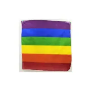 Bandeira Divertysex Multicolor 12 Peças Sets Eróticos - nacloset 2