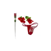 Kit Prazer Grande Divertysex Vermelho 12 Peças Sets Eróticos - nacloset