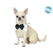 Fantasia para Cão Laço M Animais de Estimação - nacloset