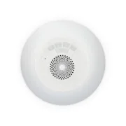 S1905995_16