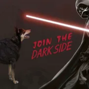 Camisola para Cães Star Wars XXS Preto Animais de Estimação - nacloset 2
