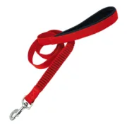Correia de treino Gloria 2.5 x 60 cm Vermelho Animais de Estimação - nacloset