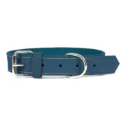 Coleira para Cães Gloria Oasis Azul (70 x 3 cm) Animais de Estimação - nacloset