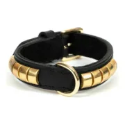 Coleira para Cães Gloria Duna Preto Dourado (35 x 2 cm) Animais de Estimação - nacloset