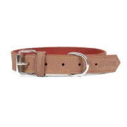 Coleira para Cães Gloria Oasis Castanho (1,2 x 35 cm) Animais de Estimação - nacloset