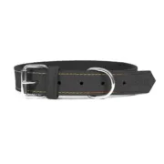 Coleira para Cães Gloria Oasis Preto (1,2 x 35 cm) Animais de Estimação - nacloset
