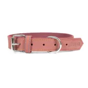Coleira para Cães Gloria Oasis Cor de Rosa (1,2 x 35 cm) Animais de Estimação - nacloset