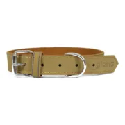 Coleira para Cães Gloria Oasis Verde (35 x 1,2 cm) Animais de Estimação - nacloset