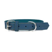 Coleira para Cães Gloria Oasis Azul (1,5 x 40 cm) Animais de Estimação - nacloset