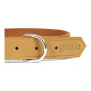 Coleira para Cães Gloria Oasis Amarelo (45 x 1,8 cm) Animais de Estimação - nacloset 2