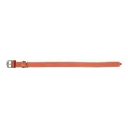 Coleira para Cães Gloria Oasis Vermelho (45 x 1,8 cm) Animais de Estimação - nacloset 2