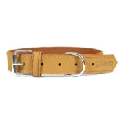 Coleira para Cães Gloria Oasis Amarelo (50 x 2,1 cm) Animais de Estimação - nacloset