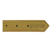 Coleira para Cães Gloria Oasis Verde (55 x 2,5 cm) Animais de Estimação - nacloset 2