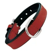 Coleira para Cães Gloria Acolchoado Vermelho (30 x 1,5 cm) Animais de Estimação - nacloset