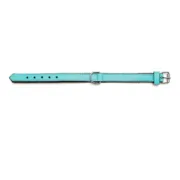 Coleira para Cães Gloria Acolchoado Turquoise 40 cm (40 x 2 cm) Animais de Estimação - nacloset 2