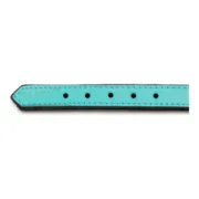 Coleira para Cães Gloria Acolchoado Turquesa (45 x 2 cm) Animais de Estimação - nacloset 2