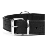 Coleira para Cães Gloria Drymilled Preto (30 x 1,5 cm) Animais de Estimação - nacloset 2