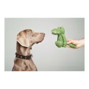 Brinquedo para cães Gloria Pinky Crocodilo Verde Animais de Estimação - nacloset 2