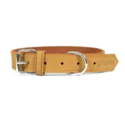 Coleira para Cães Gloria Oasis Amarelo (1,5 x 40 cm) Animais de Estimação - nacloset