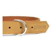 Coleira para Cães Gloria Oasis Amarelo (1,5 x 40 cm) Animais de Estimação - nacloset 2