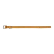 Coleira para Cães Gloria Oasis Amarelo (35 x 1,2 cm) Animais de Estimação - nacloset 2