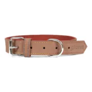 Coleira para Cães Gloria Oasis Castanho (65 x 3 cm) Animais de Estimação - nacloset