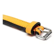 Coleira para Cães Gloria Acolchoado Amarelo (35 x 1,5 cm) Animais de Estimação - nacloset 2