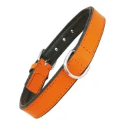 Coleira para Cães Gloria Acolchoado Laranja (55 x 2,5 cm) Animais de Estimação - nacloset