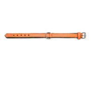 Coleira para Cães Gloria Acolchoado Laranja (55 x 2,5 cm) Animais de Estimação - nacloset 2