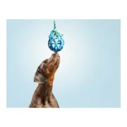 Teether de cão Gloria Rede Algodão Borracha (9 x 30 cm) Animais de Estimação - nacloset 2