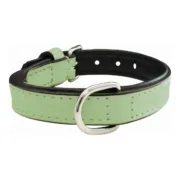 Coleira para Cães Gloria Acolchoado Verde (40 x 2 cm) Animais de Estimação - nacloset