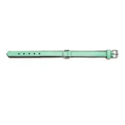 Coleira para Cães Gloria Acolchoado Verde (45 x 2 cm) Animais de Estimação - nacloset 2