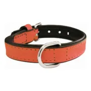 Coleira para Cães Gloria Acolchoado Coral (55 x 2,5 cm) Animais de Estimação - nacloset