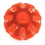 S6101838_10