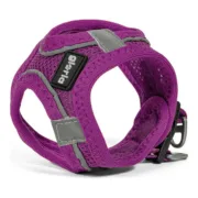 Arnês para Cães Gloria Air Mesh Trek Star Ajustável Roxo Tamanho XXXS (18-20 cm) Animais de Estimação - nacloset 2