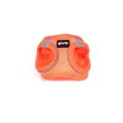 Arnês para Cães Gloria Trek Star 27-28 cm 31-34,6 cm Laranja XS Animais de Estimação - nacloset