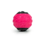 Bola para Animais de Estimação Gloria PLAY AND RUN Cor de Rosa TPR L 8,89 cm Animais de Estimação - nacloset 2